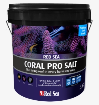 Red Sea Coral Pro Salt