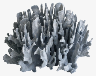 Large Blue Coral Specimen On Chairish