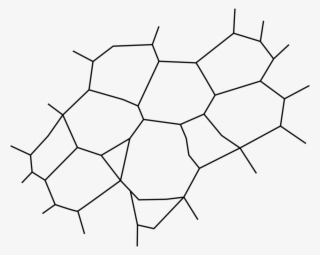 Coral Reef Coral Sea Great Barrier Reef