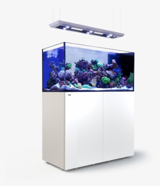 Picture Of Red Sea Reefer Peninsula P500 Deluxe White