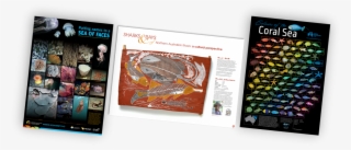 Posters Of The Nesp Marine Biodiversity Hub