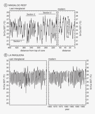 14 Coral Sr/ca Derived Sea Surface Palaeotemperatures