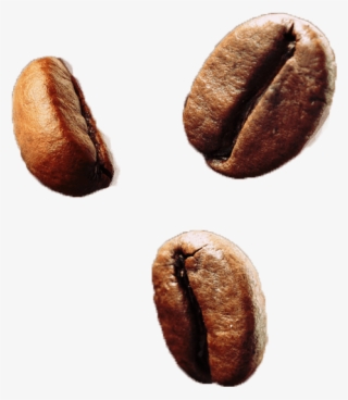 Grains