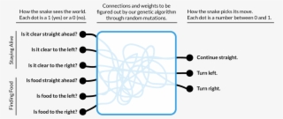 Our Structure For The Input And Output “layers” Of