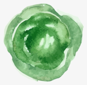 Brunswick Cabbage - Save Room For Pie By Roy Blount