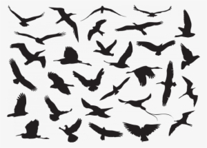 Pin By Alexey Kiselev On Pinterest Patterns - Myonline Shop Jr - 13 Stamping Plate