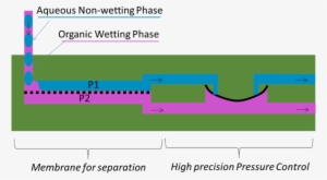 The Wetting Phase Passes Through The Membrane (dotted - Diagram