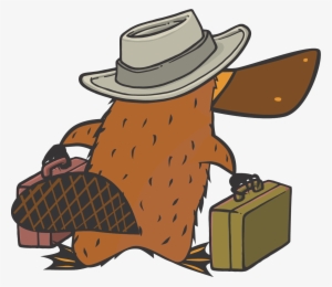 City Beer Store - Beer