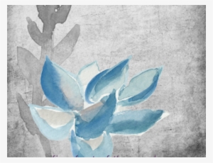 Five Feet Of The Snake - Snakes