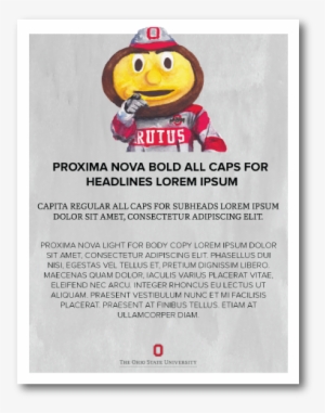 Flier Template - Rubber Ducky