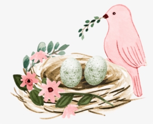 ♥ Bieennnvenueee Cheezzz Zéézééétee ♥ - Bird