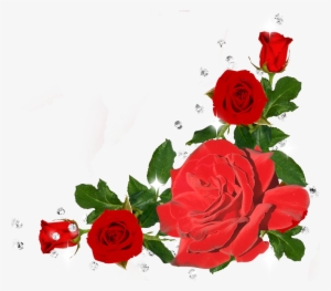 Lady Diana - Rose Tribute Tile Coaster