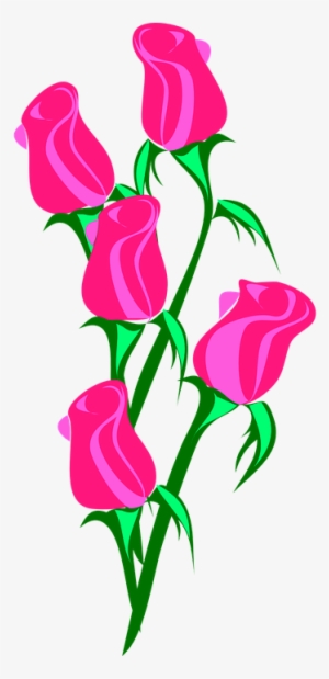 Rose-307040 960 - Roses Clip Art