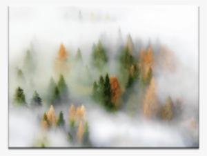 Autumn Cloud - My Art Outlet 'autumn Dream' Graphic Art Print On Wrapped