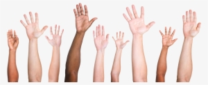 Hand Surgery/occupational Medicine