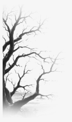 Dsgn 880 Tree1 Dsgn 880 Tree2 Leopard And Lace Bobbins - Greeting Cards (pk Of 20)