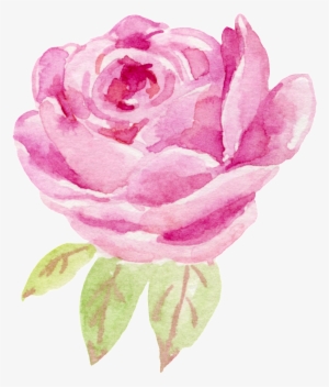 Water Color Flower Rose