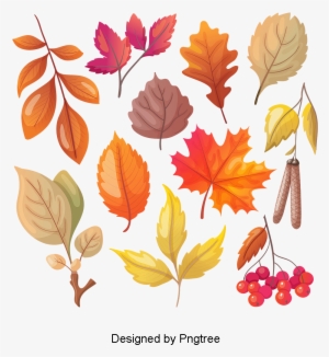 Cartoon Simple Hand-painted Autumn Leaf Design, Cartoon, - Folhas Secas Desenho Png