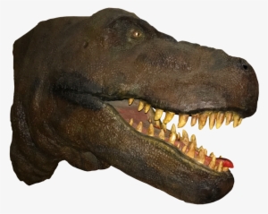 T Rex Head Png