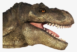 T Rex Transparent Images - T Rex Head Png