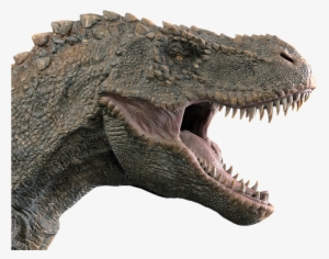 Dinosaur, Tyrannosaurus, Tyrannosaur - T Rex Head Side