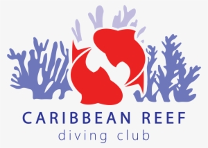 This Website Is Under Construction - Construction