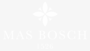 Queensland Government Logo White