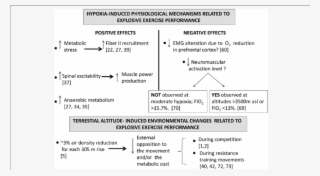 Hypoxia Ascent And/or Exposition-induced Physiological