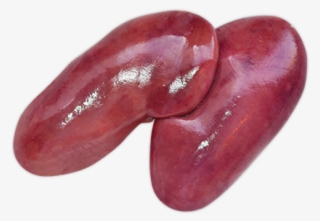 Pork Kidney