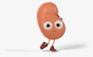 Become A Donor Today
