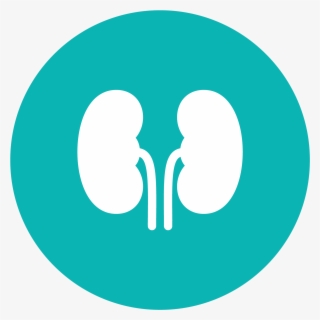 Kidney Disease