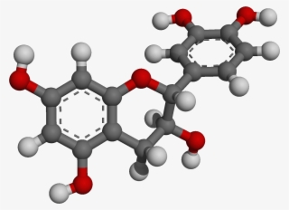 Catechin