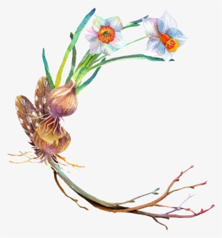 Fungus Mushroom Transparent Decorative