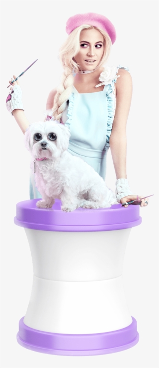 Pixie Png