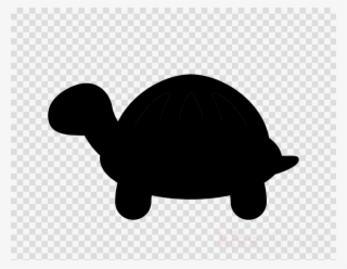 Tortoise Clipart Tortoise Sea Turtle