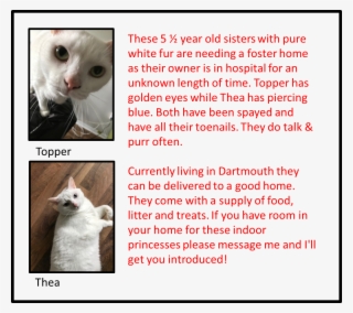 Room In Your House For Two New Princesses That Come