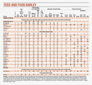 1 Feed And Food Barley