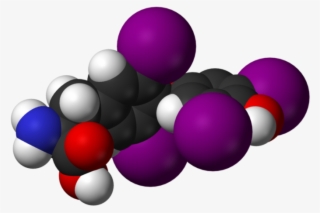 Pfizer's Levoxyl Drug Will Be Back On The Shelves Following