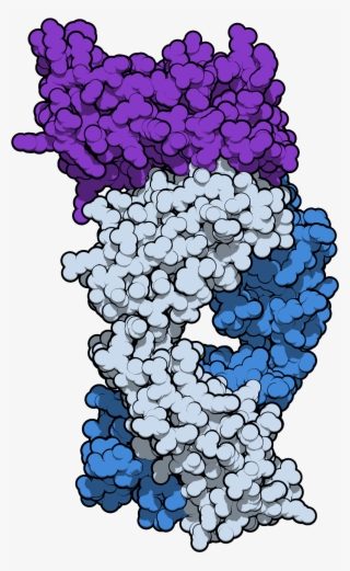 Sifalimumab 4ypg
