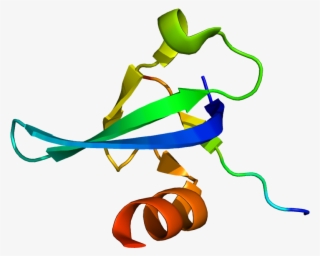 Protein Cbx5 Pdb 3fdt