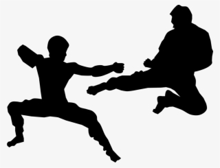 Sparring Kumite Karate Martial Arts Kickboxing