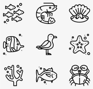 Sea Life