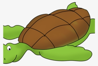 Sea Life Clipart Hawaiian Animal