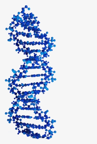 Genetic Health