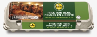 Free Run Hens Large Brown Eggs