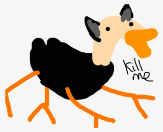 Forum Draw A Four