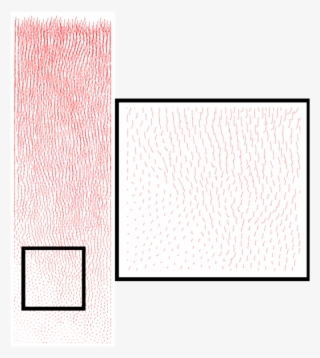 Crumpled Paper Png