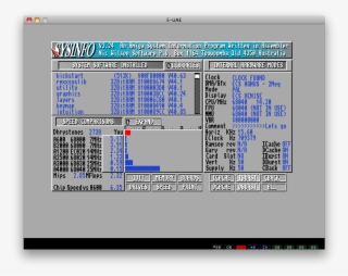 Amiga Emu Sysinfo 68060