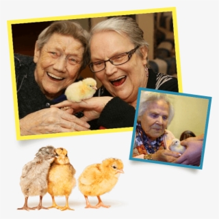 You Might Like To Try Some Of Our Fundraising Ideas