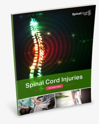 Spinal Cord Png